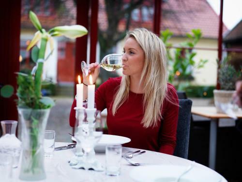 Hostal Bl�singsborgs G�rdshotell