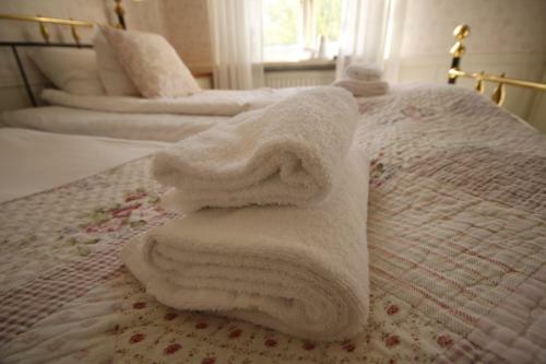 Hotel Pensionat Granparken