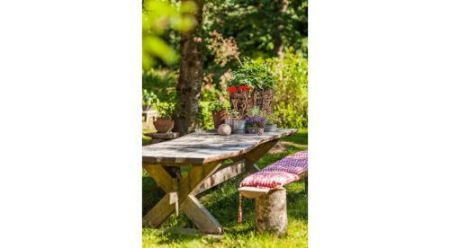 Bed & Breakfast �ppelg�rden
