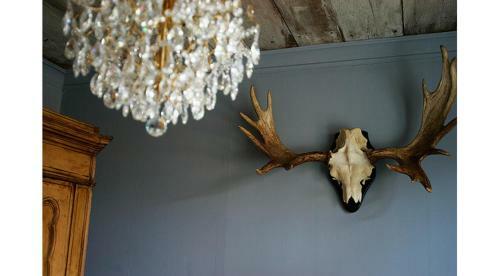 Bed & Breakfast �ppelg�rden