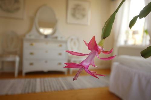 Bed & Breakfast Gr�na �n�s