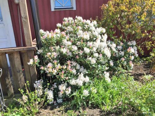 Mattisg�rden Bed & Breakfast