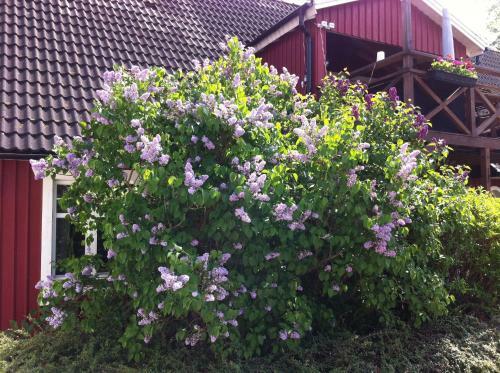 Mattisg�rden Bed & Breakfast