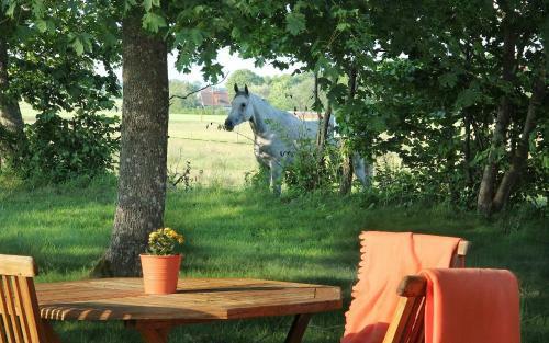 Tryde 1303 B&B P� �sterlen