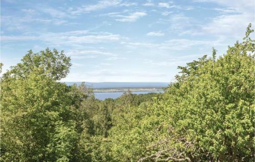 Three-bedroom Holiday Home In Granna