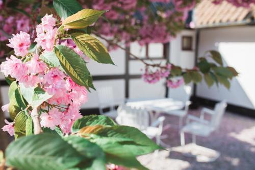 Landet Bed And Breakfast
