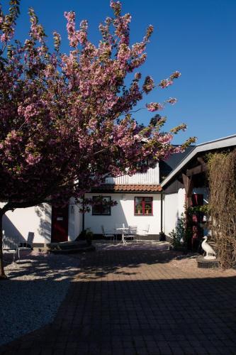Landet Bed And Breakfast