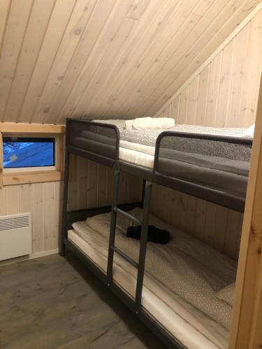 Apartamento Storbo Adventure Camp