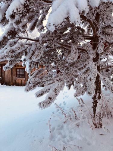 Apartamento Storbo Adventure Camp