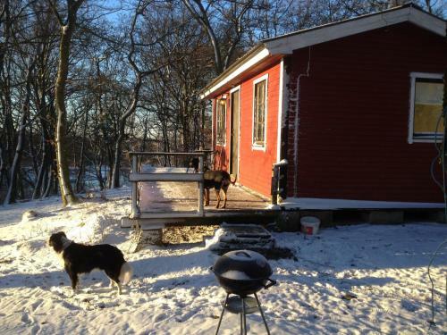 Agroturismo Farm Stay Happy Dogs Ranch