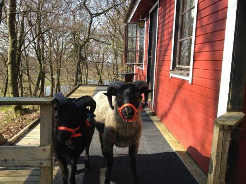 Agroturismo Farm Stay Happy Dogs Ranch