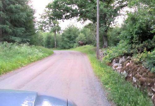 Hoefijzerg�rd B&B