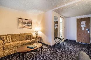 Hotel Quality Inn & Suites Albany Airport