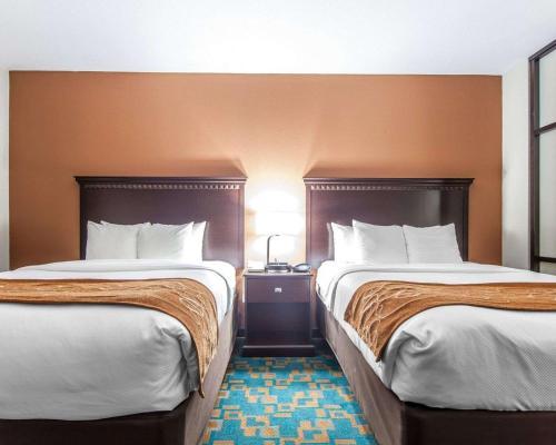 Hotel Comfort Suites Knoxville