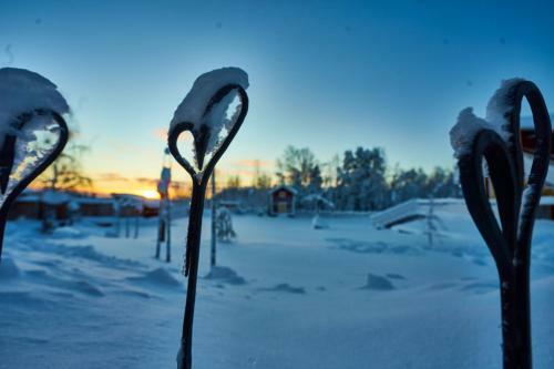 Hostal Lapland Guesthouse