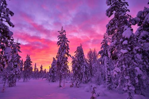 Hostal Lapland Guesthouse