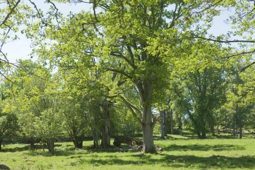 Agroturismo Stf Grimsn�s Herrg�rd