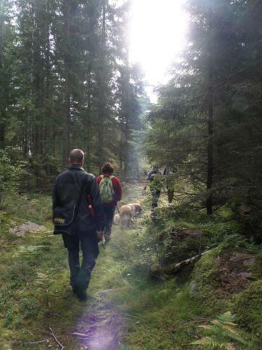 Agroturismo Stf Grimsn�s Herrg�rd