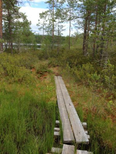 Bushcraftevents Stuga