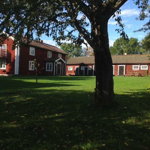 Bull-august G�rd Vandrarhem/hostel