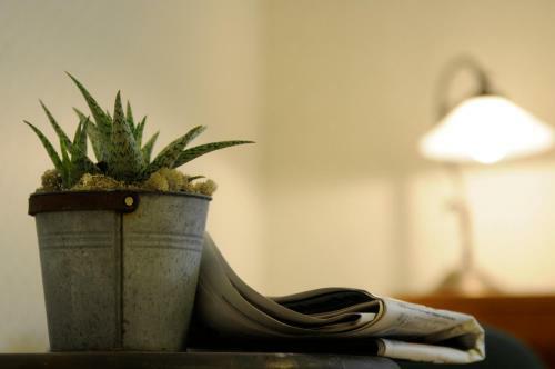 Hostal Villa Akvarellen Bed & Breakfast