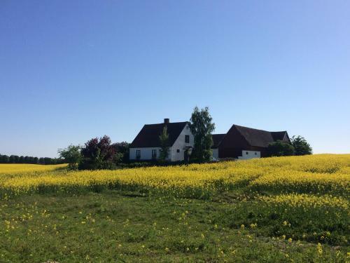 Bed & Breakfast G�rden Mellan Slotten
