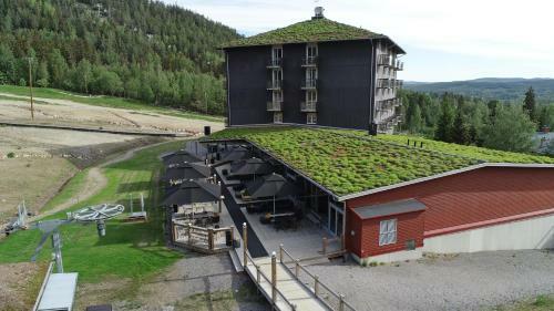 Hotel Bergshotellet