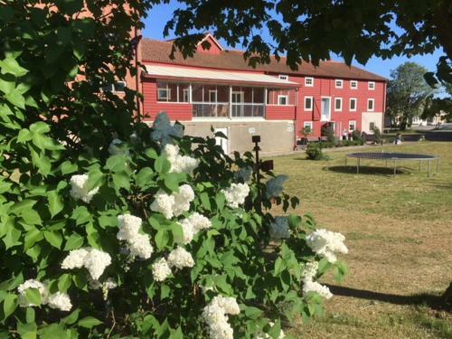 Borrby Fr� B&B