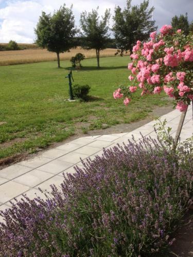 Borrby Fr� B&B