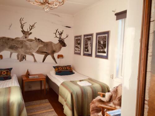 Hotel Kol�sens Fj�llhotell