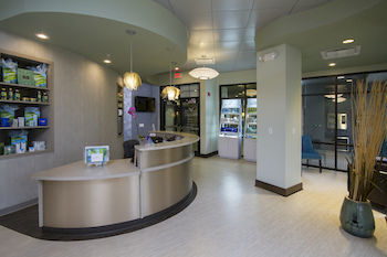 Hotel Wyndham Garden Williamsville/buffalo
