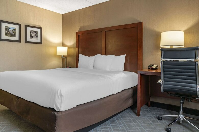 Hotel Comfort Inn University