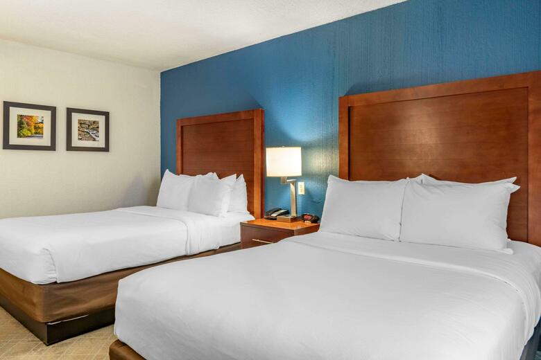 Hotel Comfort Inn University