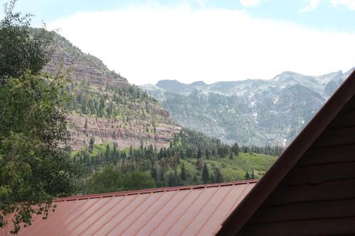 Bed & Breakfast Black Bear Manor