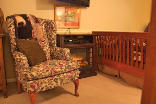 Bed & Breakfast Black Bear Manor