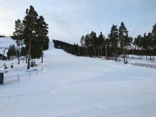 Gesundaberget Lodge & Stugby