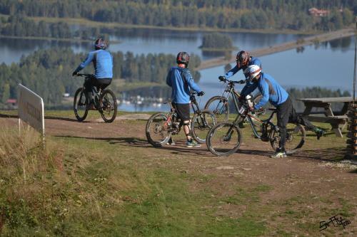 Gesundaberget Lodge & Stugby