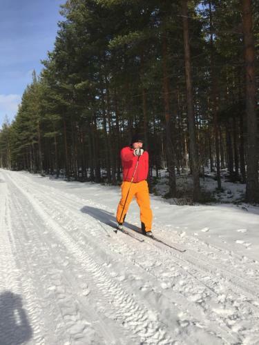 Gesundaberget Lodge & Stugby