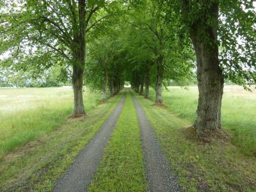 Bed & Breakfast Linda G�rd