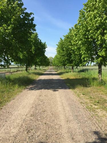 Agroturismo Bj�rk�sa G�rd Bed & Box