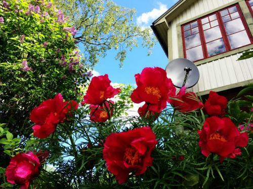 Bed & Breakfast Sweden Slow Living