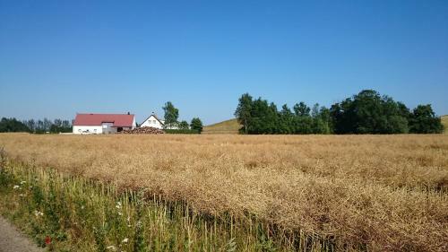Bed & Breakfast Vinkille