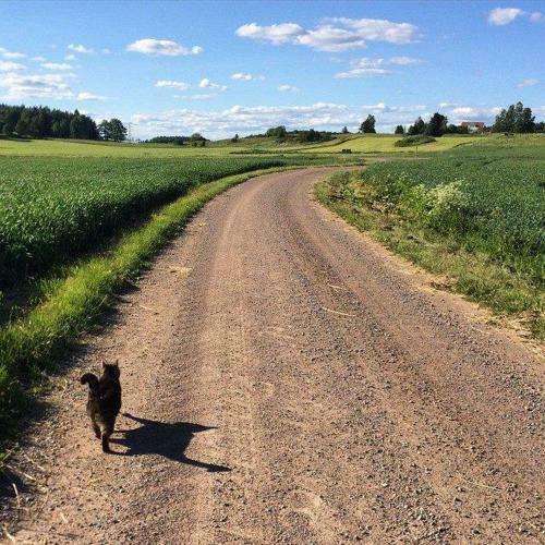 Bed & Breakfast Klefstad G�rd