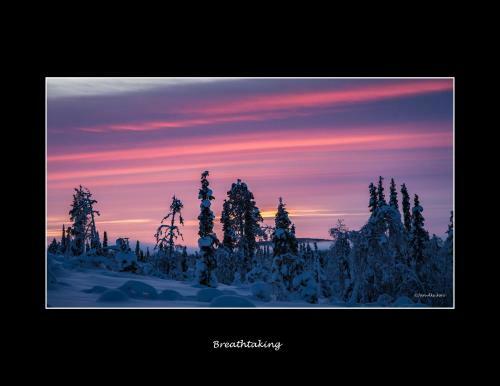 Hotel Lannavaara Lodge