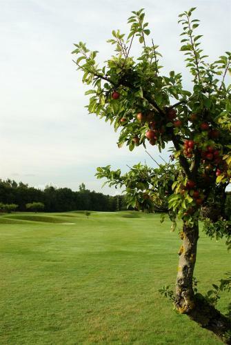 Abbek�s Golfrestaurang & Hotell