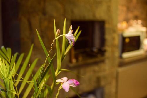 Hostal Pousada Boutique Villa Valley