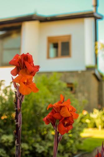 Hostal Pousada Boutique Villa Valley