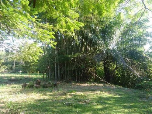 Lodge Chacara Recanto Dos Netos