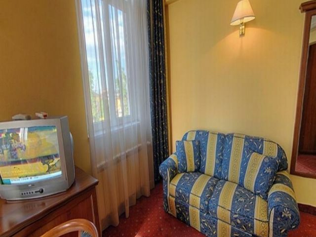 Hotel Lion
