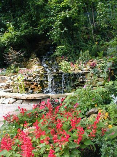 Black Forest B&B